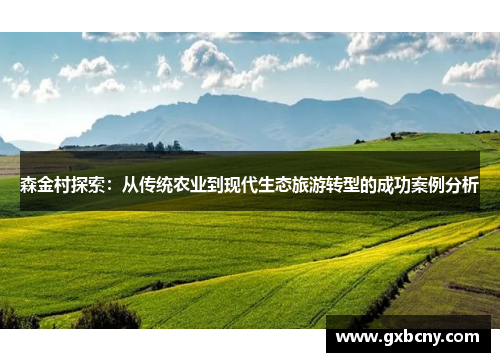 森金村探索：从传统农业到现代生态旅游转型的成功案例分析