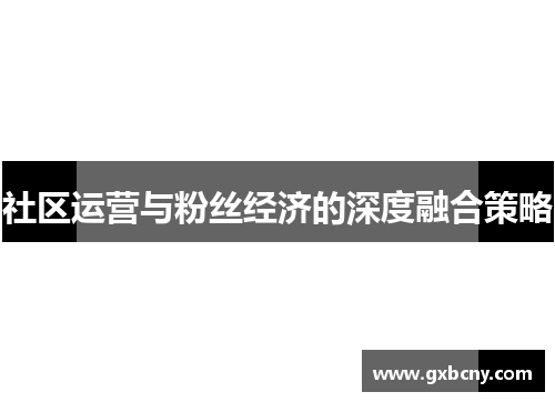 社区运营与粉丝经济的深度融合策略